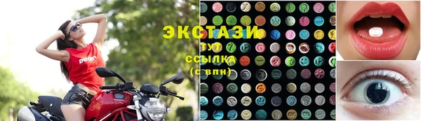 прущие грибы Долгопрудный