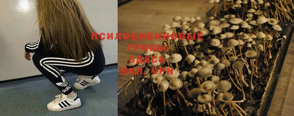 меф Мегион