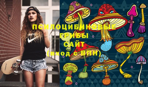 ПСИЛОЦИБИНОВЫЕ ГРИБЫ Новый Уренгой
